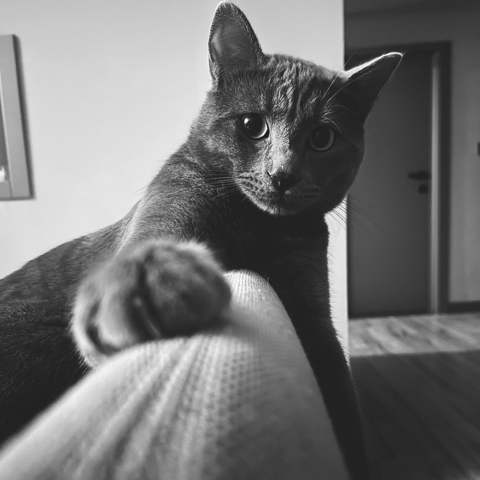 Team_Voxel Team_Voxel